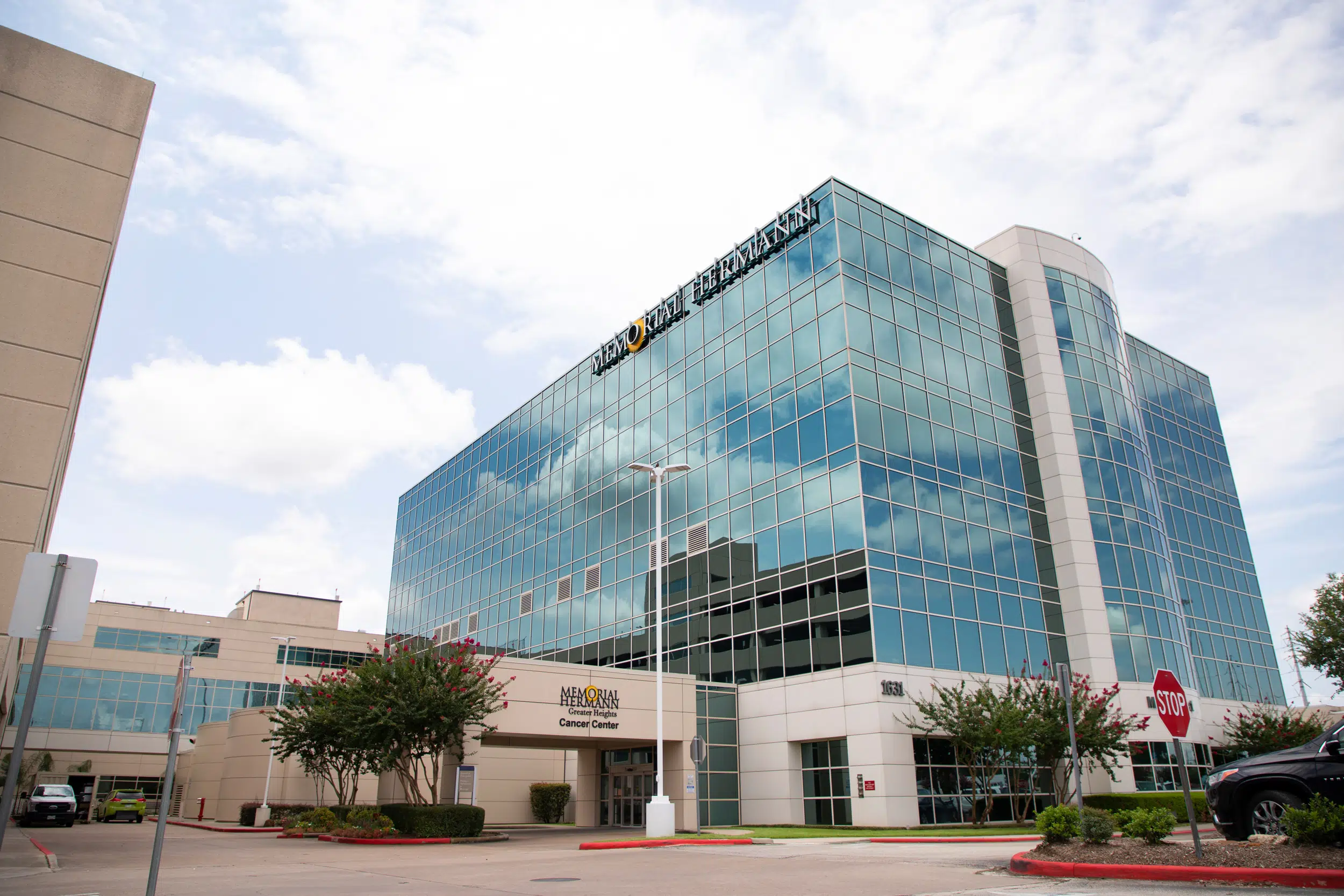 North Houston, TX artificial turf projects