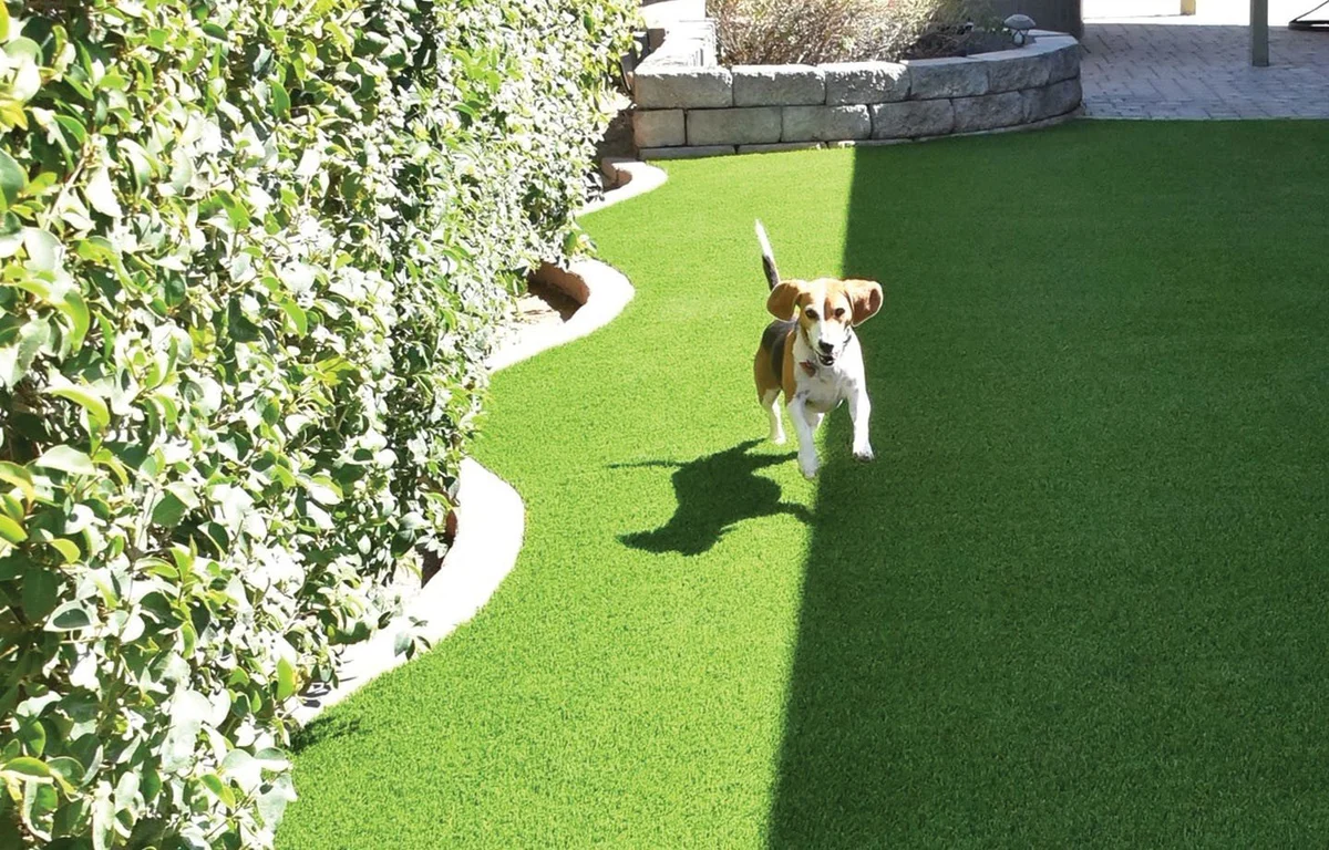 Drainage and Base Preparation in Tomball, TX