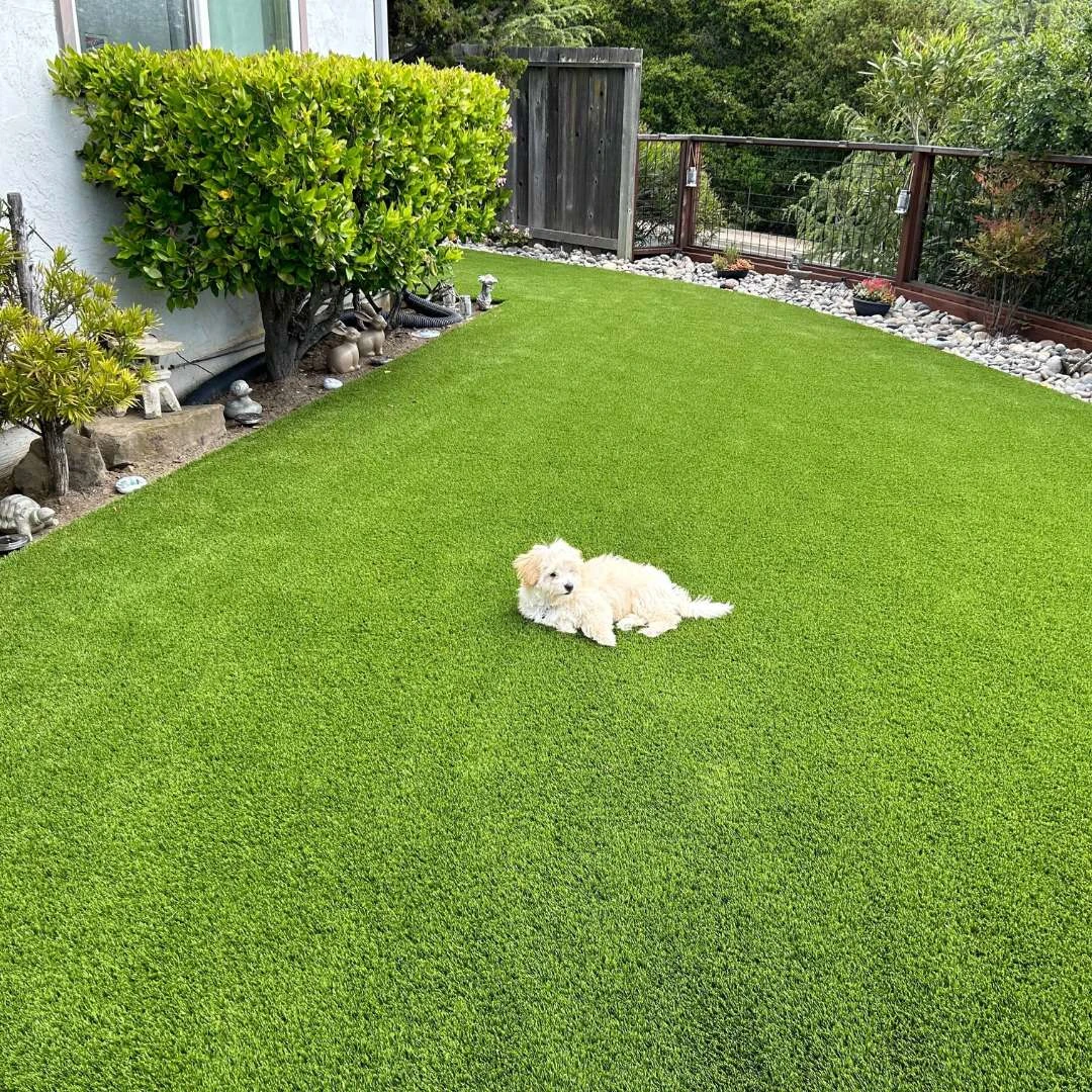 Pet Turf Installation in Tomball, TX